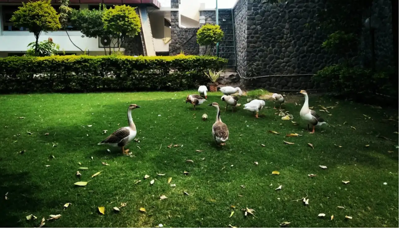 गैलरी फ़ोटो 2